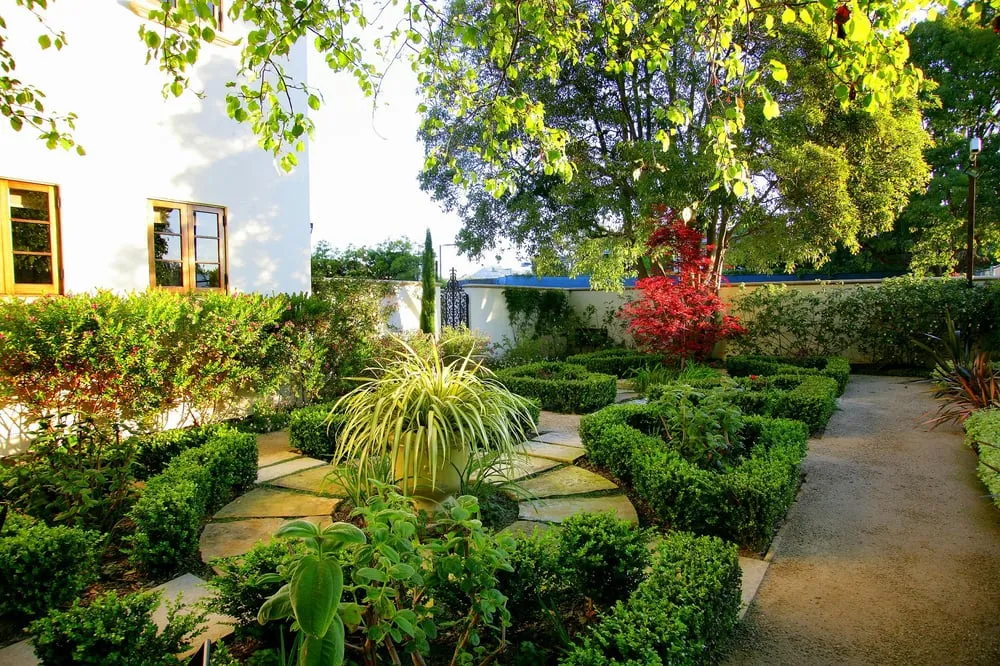 Custom yard cleanup service experts serving Irwindale, CA - Pierre Landscape