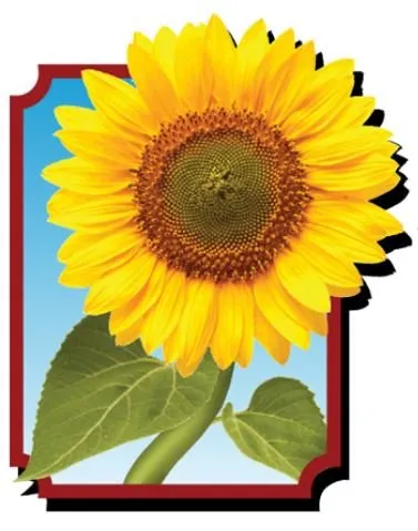 Custom lawn mowing service for outdoor upgrades in Chaska, MN by Pierson Garden and Landscape