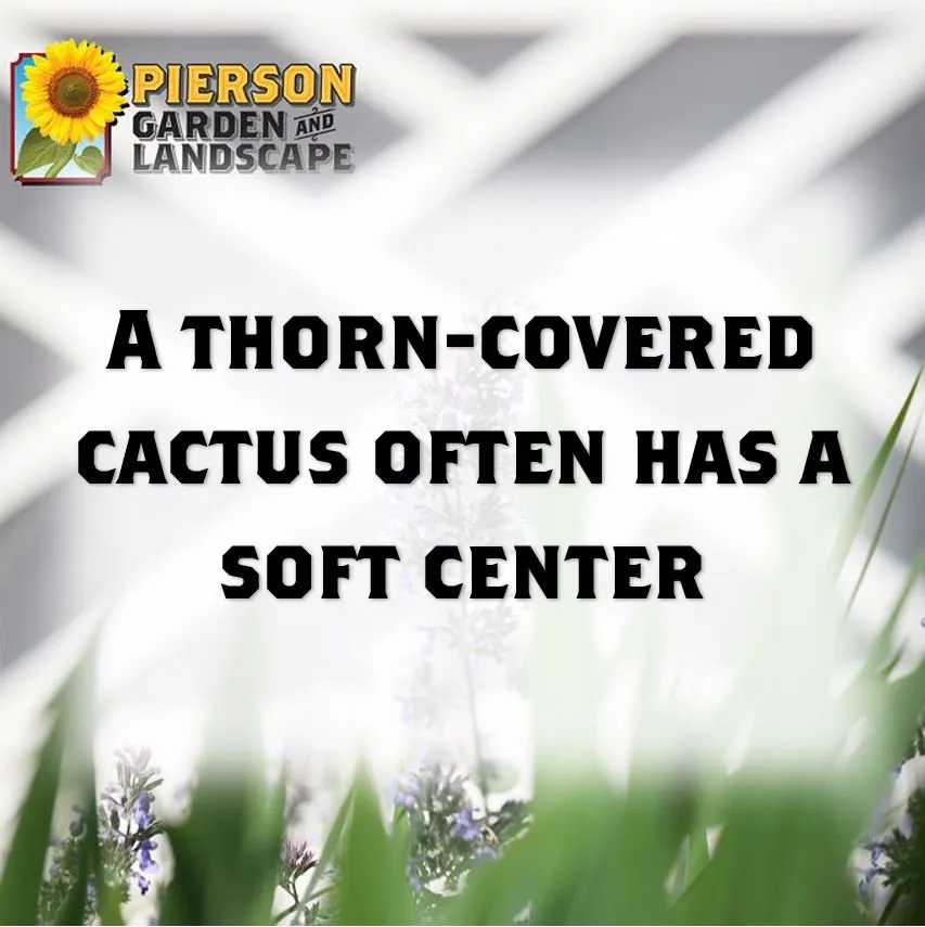 Local lawn mowing service for residential properties in Chaska, MN by Pierson Garden and Landscape