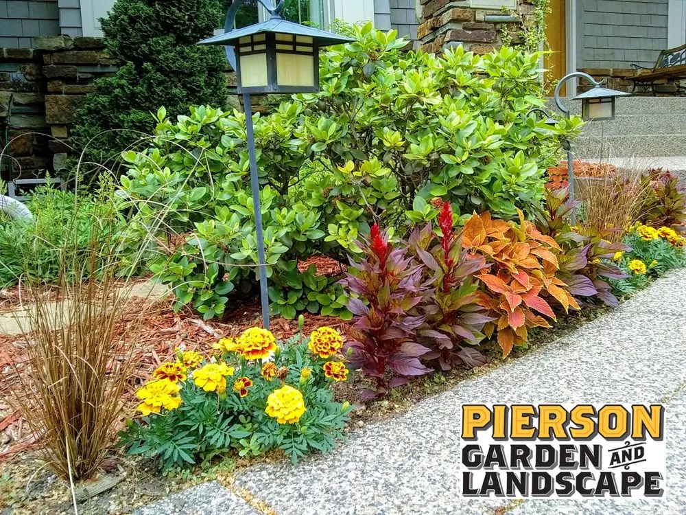 Professional landscape installation experts serving Chaska, MN - Pierson Garden and Landscape