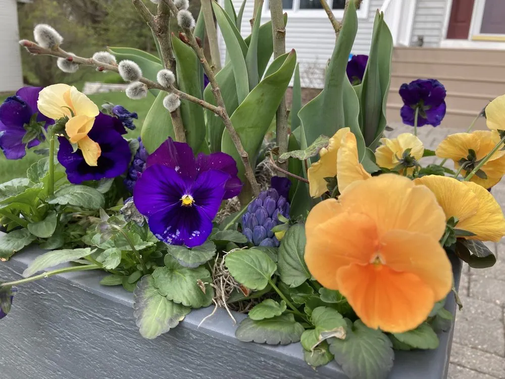 Trusted outdoor landscaping in Chaska, MN - Pierson Garden and Landscape