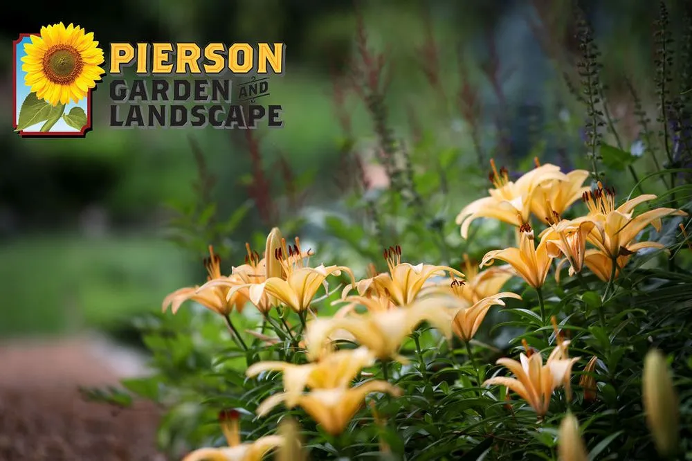 Custom residential landscaping in Chaska, MN by Pierson Garden and Landscape