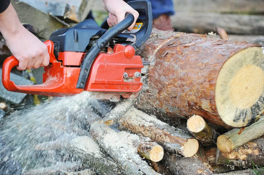 Top-rated garden landscaping near you across El Cajon, CA - Pierson Tree & Landscaping