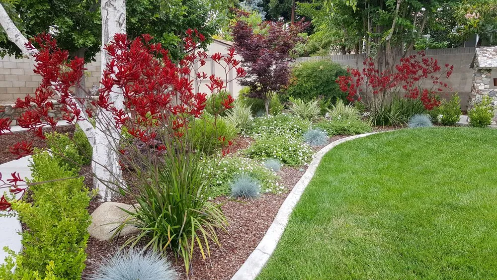 Top-rated landscaping services experts serving Upland, CA - Pigoni Landscape Services