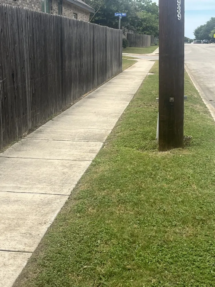 Expert landscape design experts serving San Antonio, TX - Pike Design Construction & Landscaping