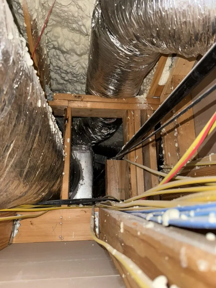 Reliable outdoor landscaping in San Antonio, TX - Pike Design Construction & Landscaping