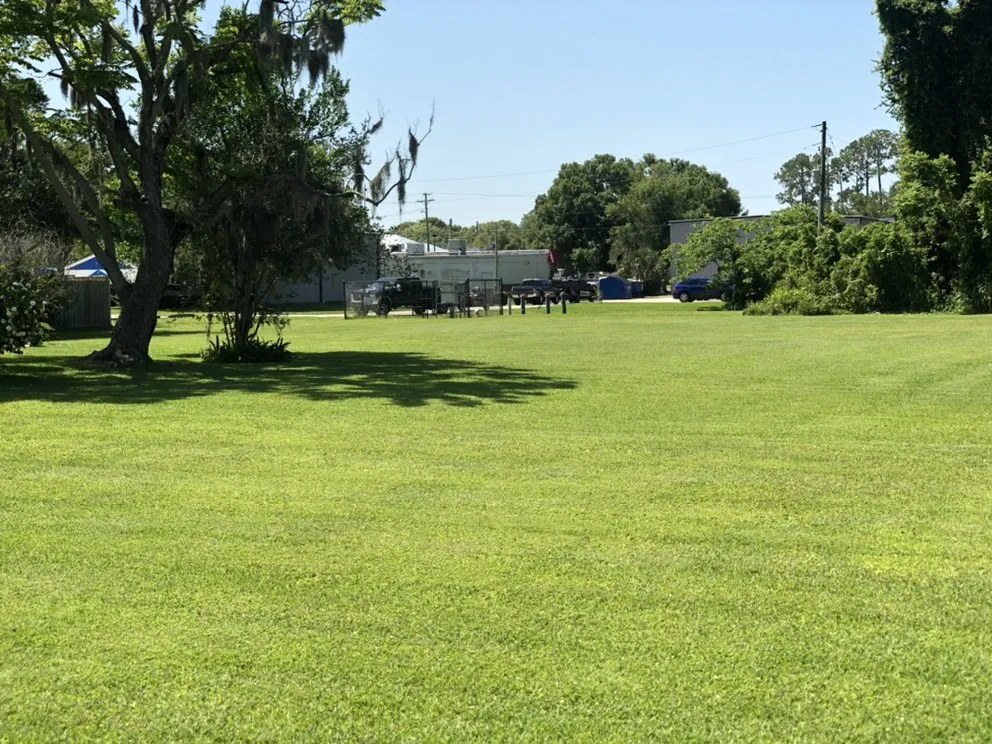 Custom lawn care service in Casselberry, FL - Pike Lawn Care