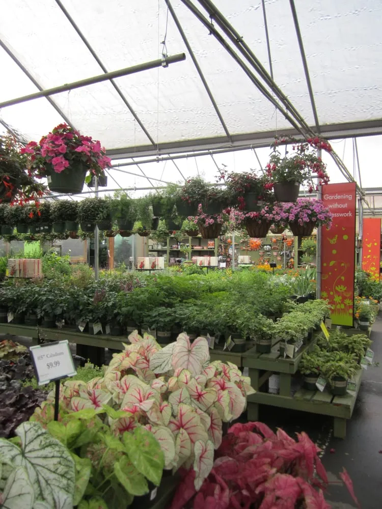 Affordable garden landscaping for residential properties across Acworth, GA - Pike Nurseries