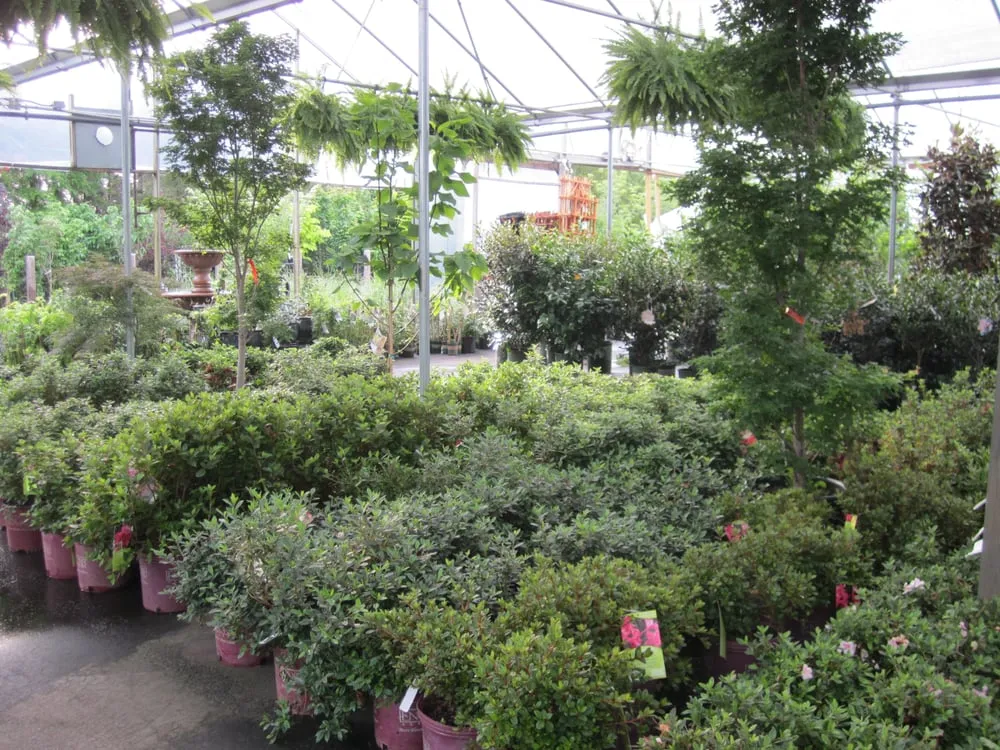 Top-rated yard cleanup service for beautiful yards across Acworth, GA - Pike Nurseries