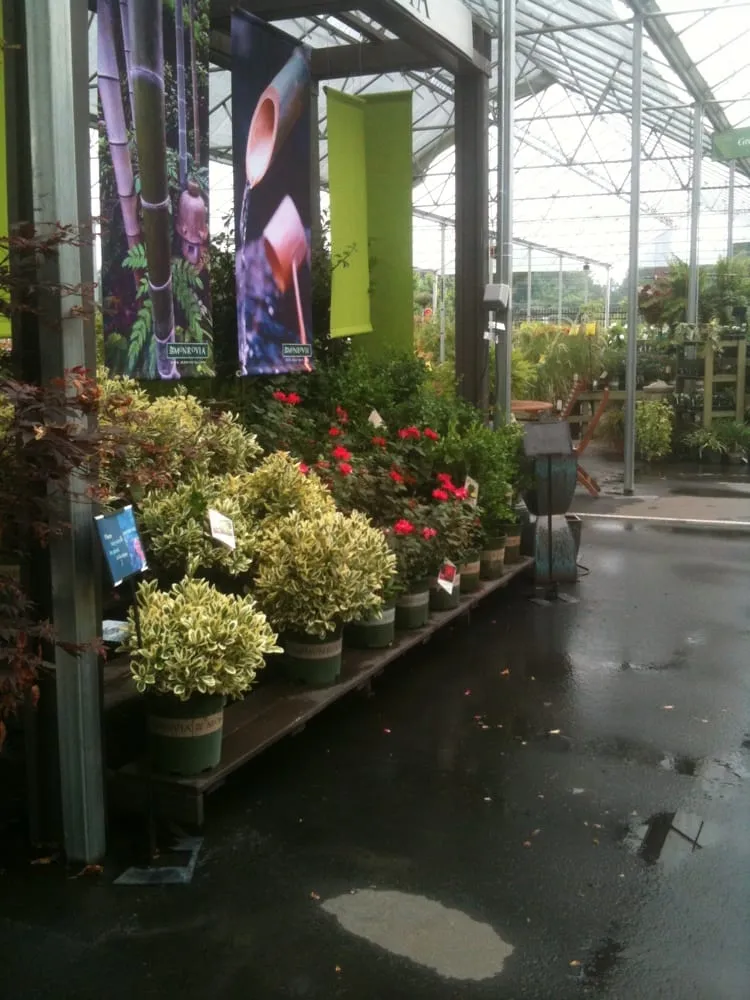 Expert landscape design in Acworth, GA by Pike Nurseries