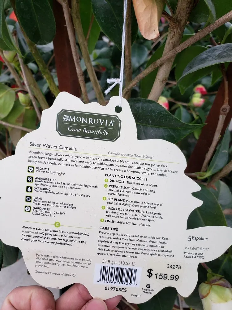 Custom landscaping services in Alpharetta, GA - Pike Nurseries