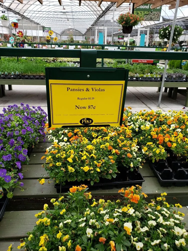 Professional lawn mowing service in Alpharetta, GA by Pike Nurseries