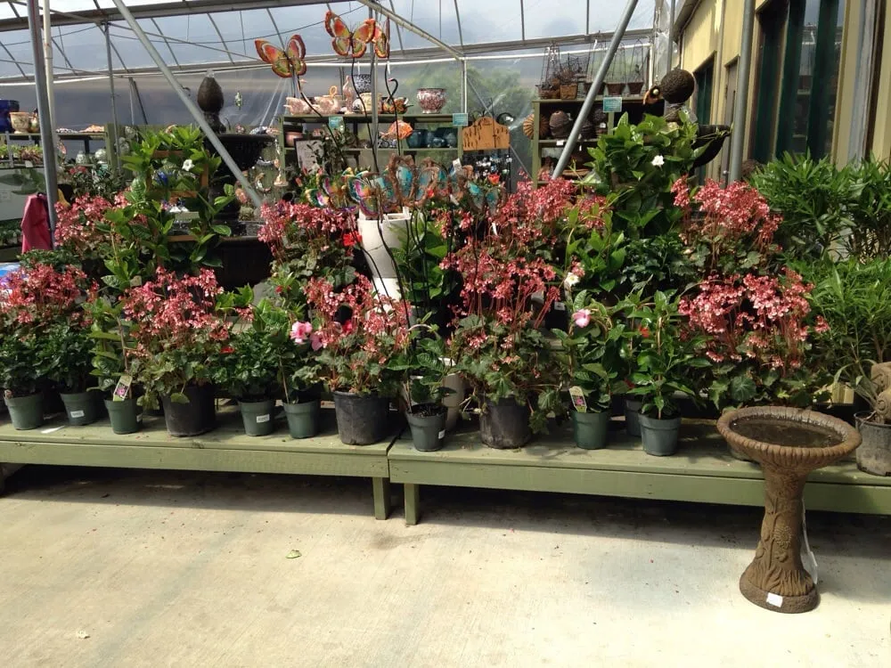 Expert yard cleanup service experts serving Alpharetta, GA - Pike Nurseries