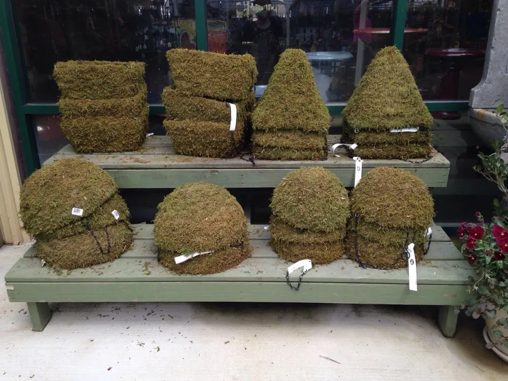 Affordable residential landscaping with custom design in Alpharetta, GA by Pike Nurseries