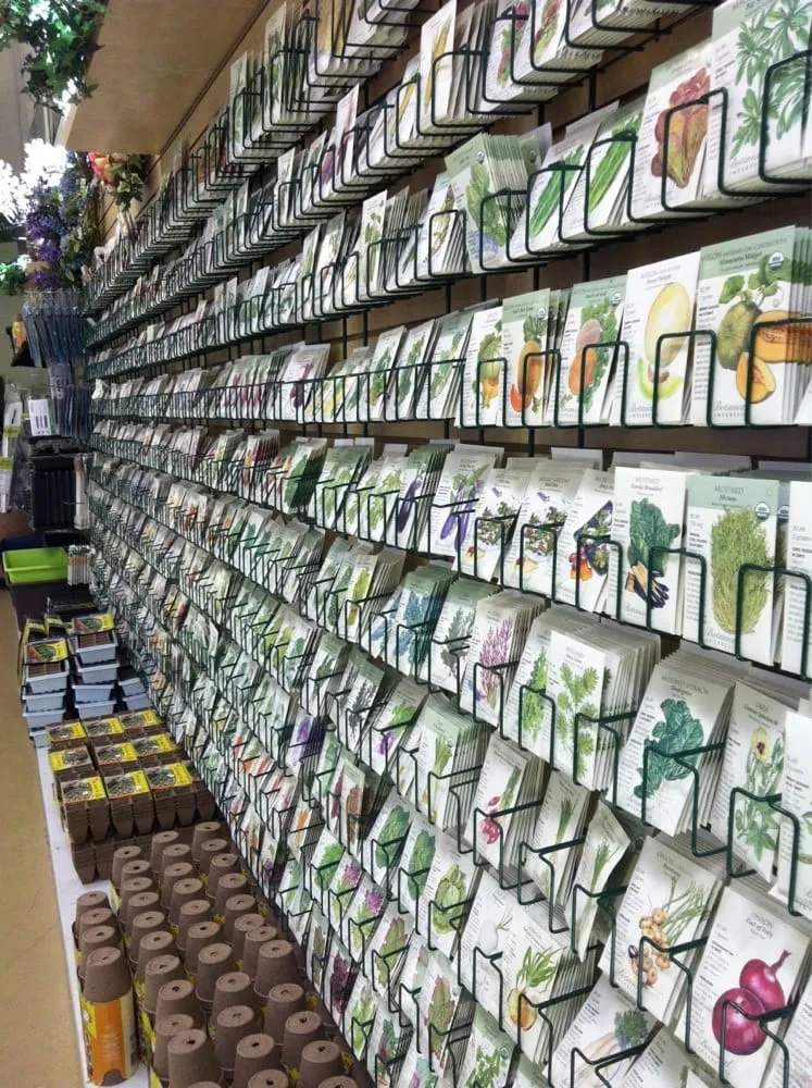 Reliable outdoor landscaping in Atlanta, GA - Pike Nurseries