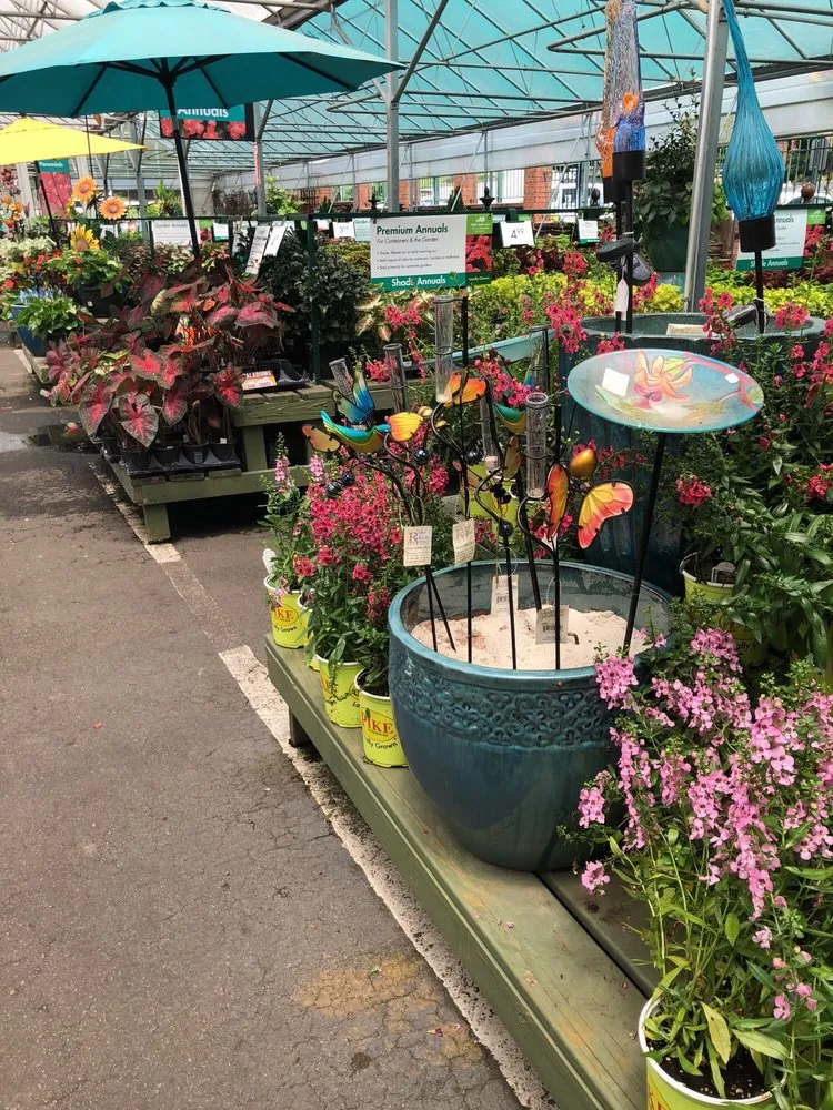 Affordable landscape design for beautiful yards in Atlanta, GA by Pike Nurseries