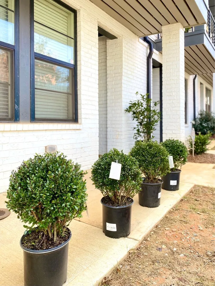 Trusted landscape installation in Atlanta, GA - Pike Nurseries