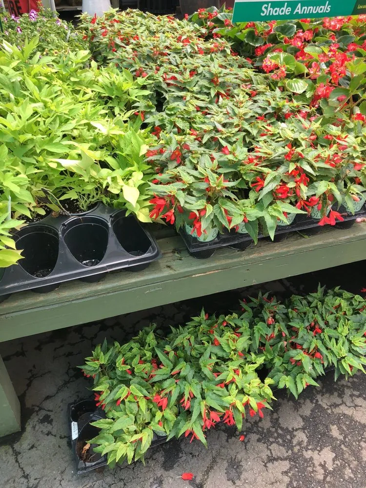 Top-rated lawn mowing service experts serving Atlanta, GA - Pike Nurseries