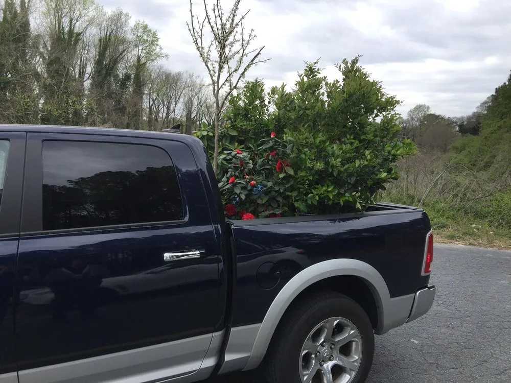 Reliable outdoor landscaping in Atlanta, GA - Pike Nurseries