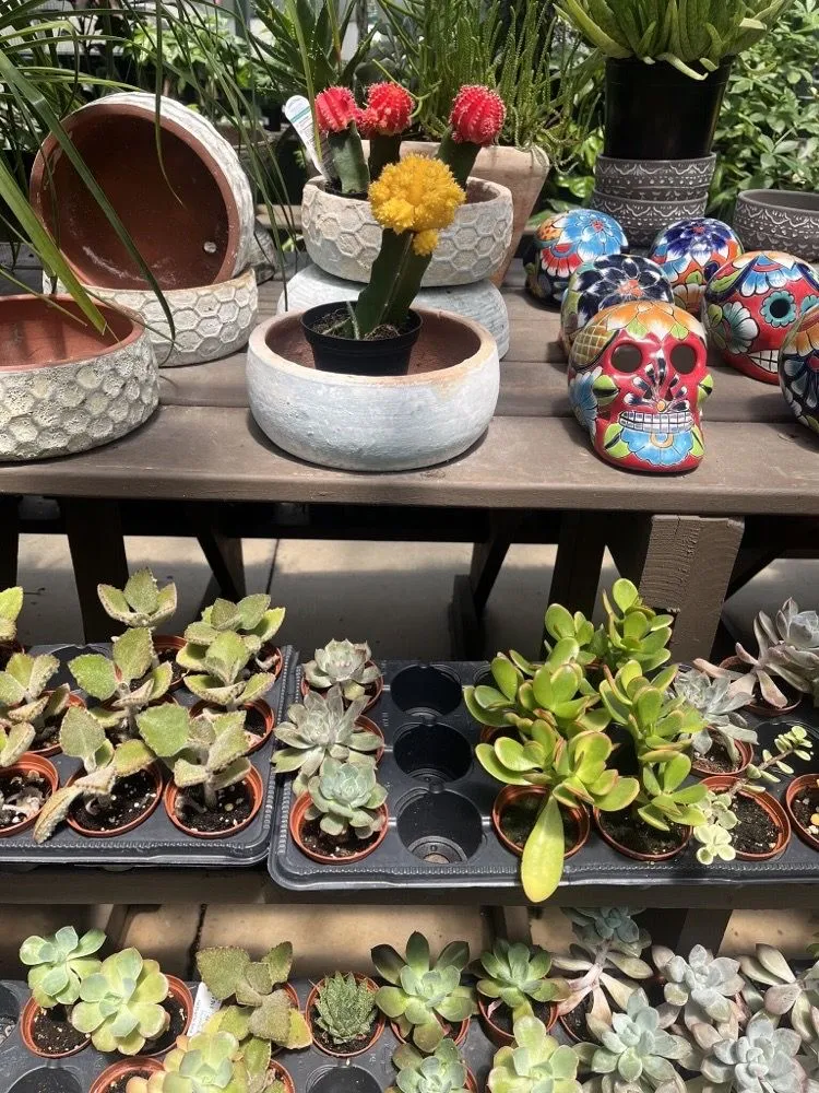 Local residential landscaping experts serving Charlotte, NC - Pike Nurseries