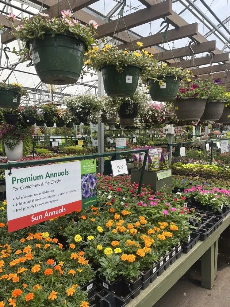 Local yard cleanup service in Charlotte, NC by Pike Nurseries