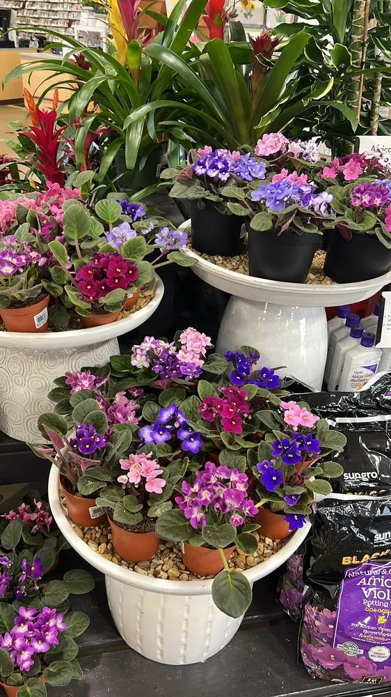 Affordable yard cleanup service in Charlotte, NC - Pike Nurseries