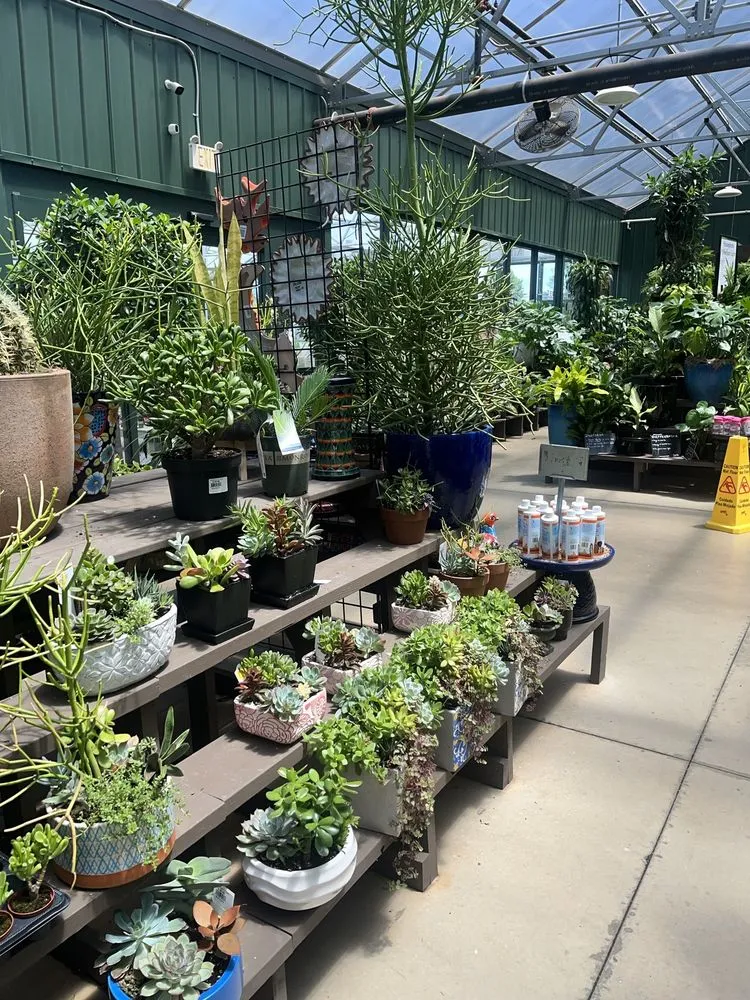 Local landscape design in Charlotte, NC by Pike Nurseries