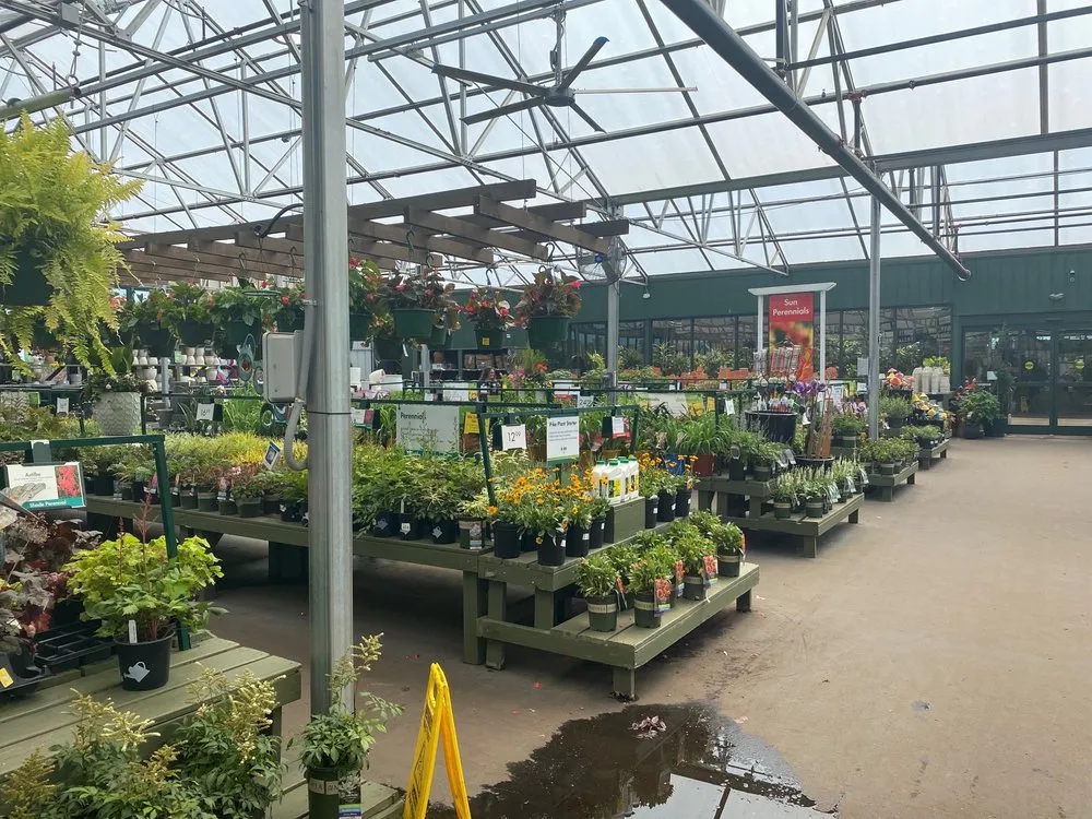 Affordable lawn care service experts serving Charlotte, NC - Pike Nurseries