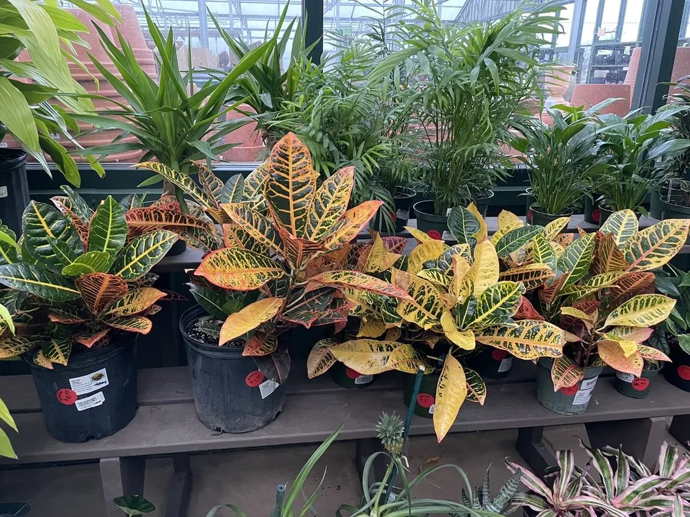 Expert outdoor landscaping for residential properties in Charlotte, NC by Pike Nurseries