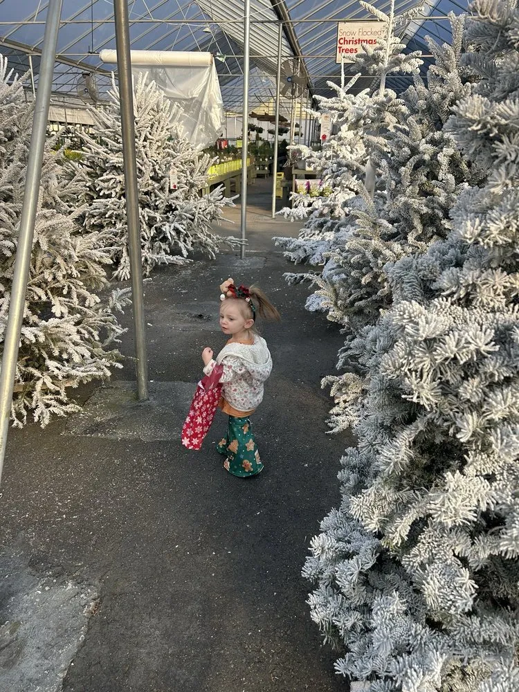 Affordable landscaping services experts serving Cumming, GA - Pike Nurseries