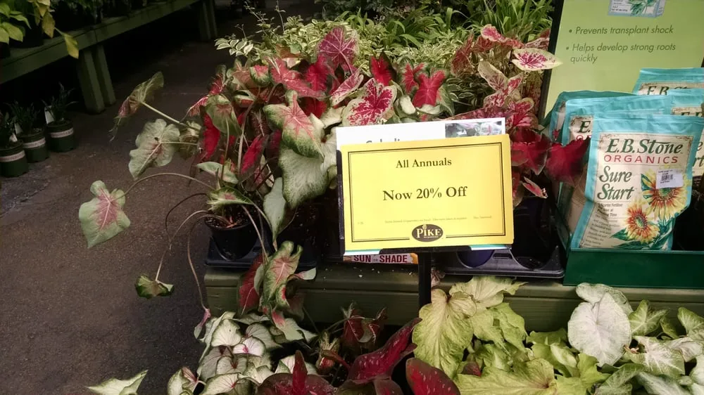 Professional lawn mowing service for beautiful yards in Cumming, GA by Pike Nurseries