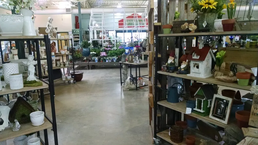 Expert lawn care service for outdoor upgrades across Cumming, GA - Pike Nurseries