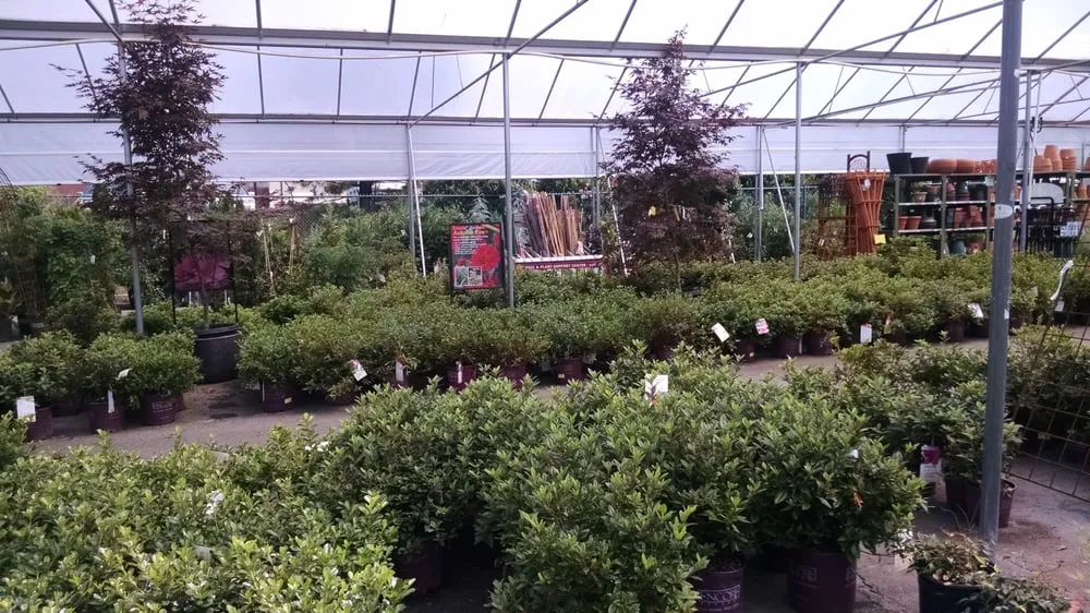 Trusted lawn mowing service experts serving Cumming, GA - Pike Nurseries