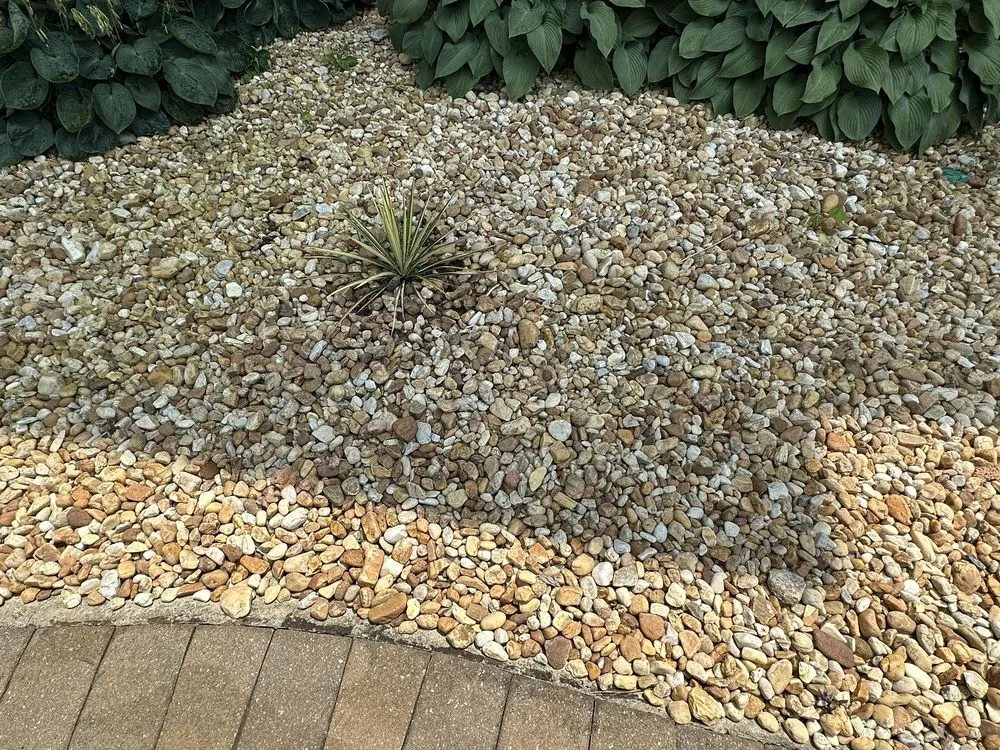 Top-rated lawn mowing service experts serving Cumming, GA - Pike Nurseries