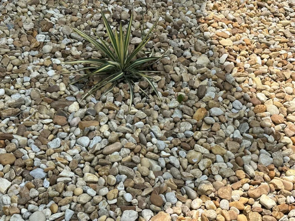 Trusted landscape design experts serving Cumming, GA - Pike Nurseries