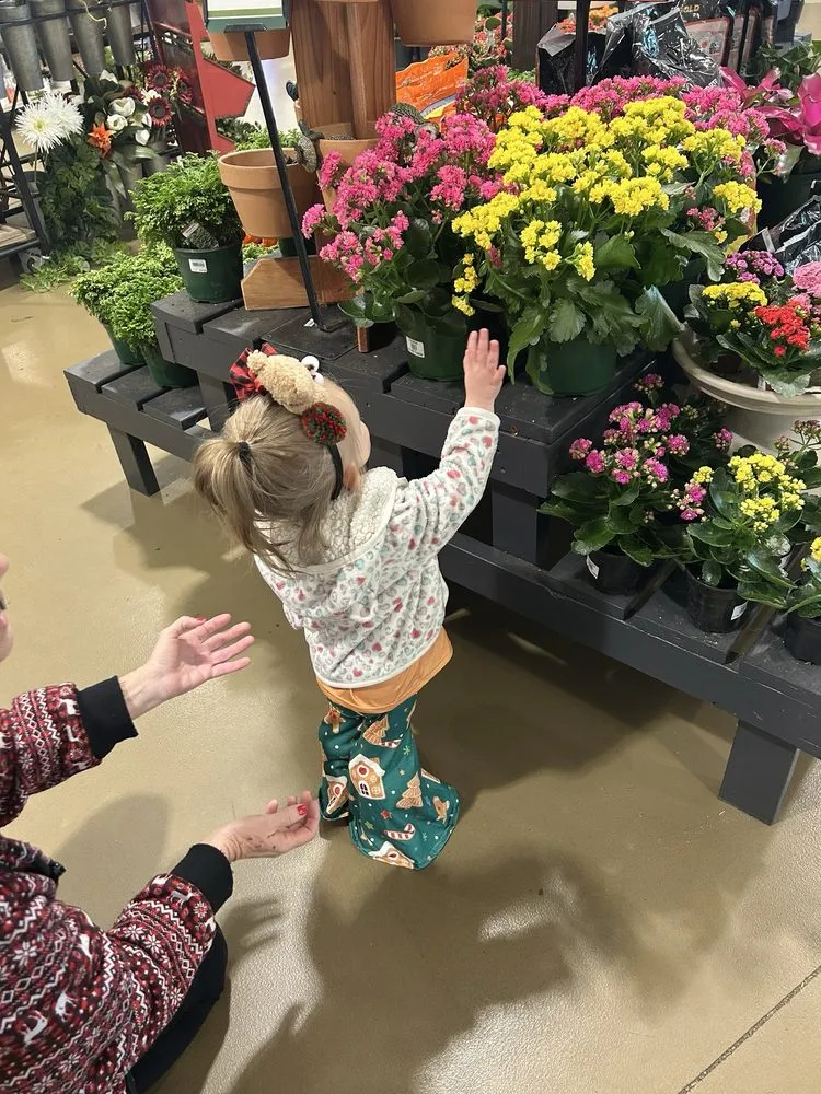 Top-rated lawn mowing service experts serving Cumming, GA - Pike Nurseries