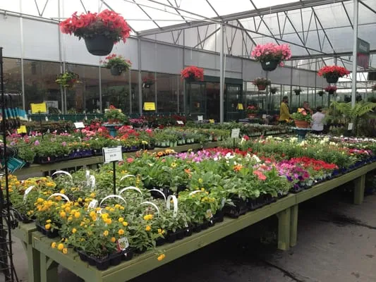 Pike Nurseries