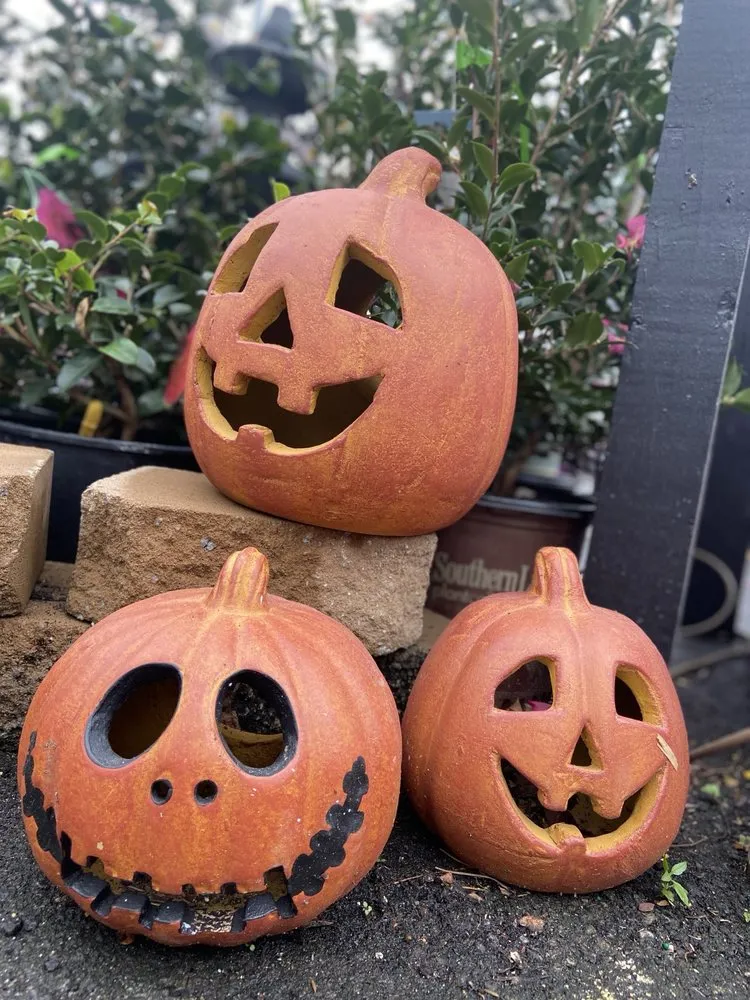 Top-rated yard cleanup service in Johns Creek, GA - Pike Nurseries