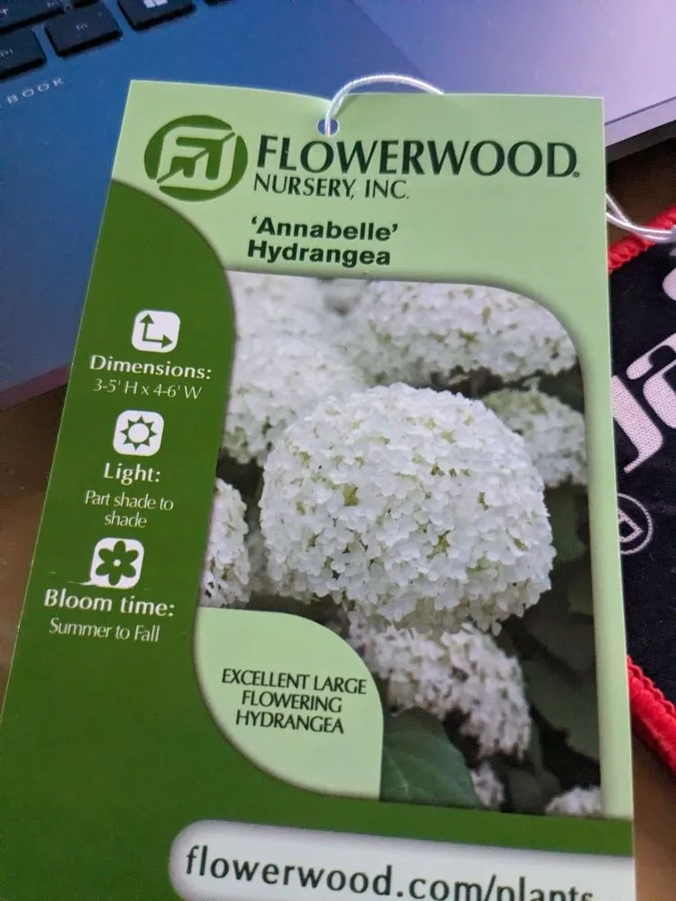 Trusted landscape installation near you in Johns Creek, GA by Pike Nurseries