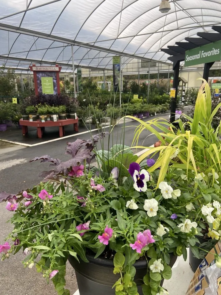 Affordable lawn mowing service for residential properties across Johns Creek, GA - Pike Nurseries