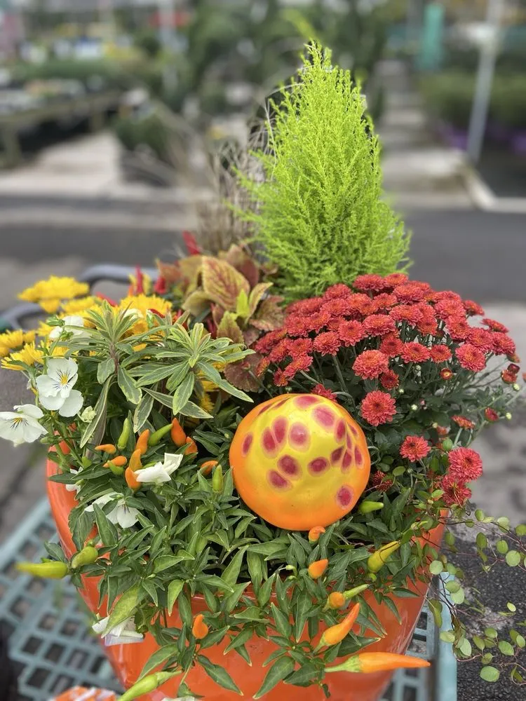 Trusted garden landscaping in Johns Creek, GA - Pike Nurseries