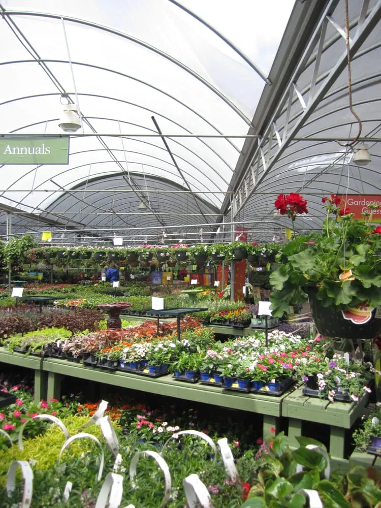 Reliable landscape installation for year-round maintenance across Johns Creek, GA - Pike Nurseries