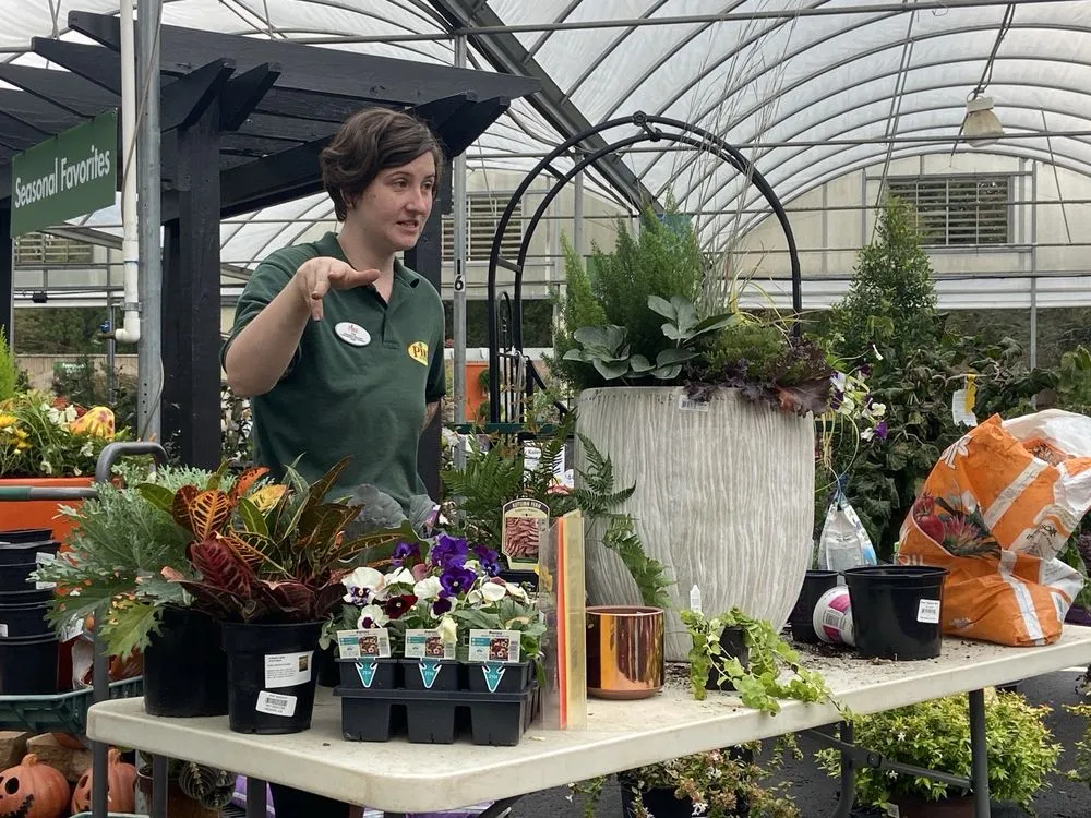 Local landscaping services for year-round maintenance in Johns Creek, GA by Pike Nurseries