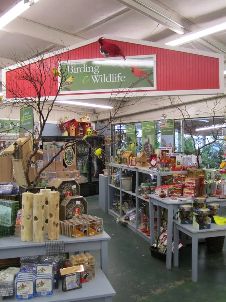 Affordable landscape design in Marietta, GA - Pike Nurseries