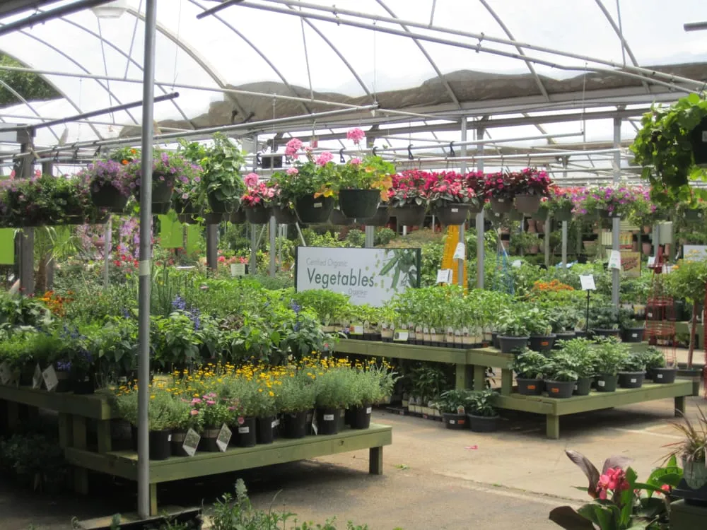 Reliable landscape design in Marietta, GA by Pike Nurseries