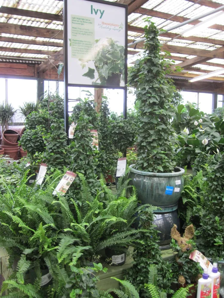 Trusted landscape design experts serving Marietta, GA - Pike Nurseries