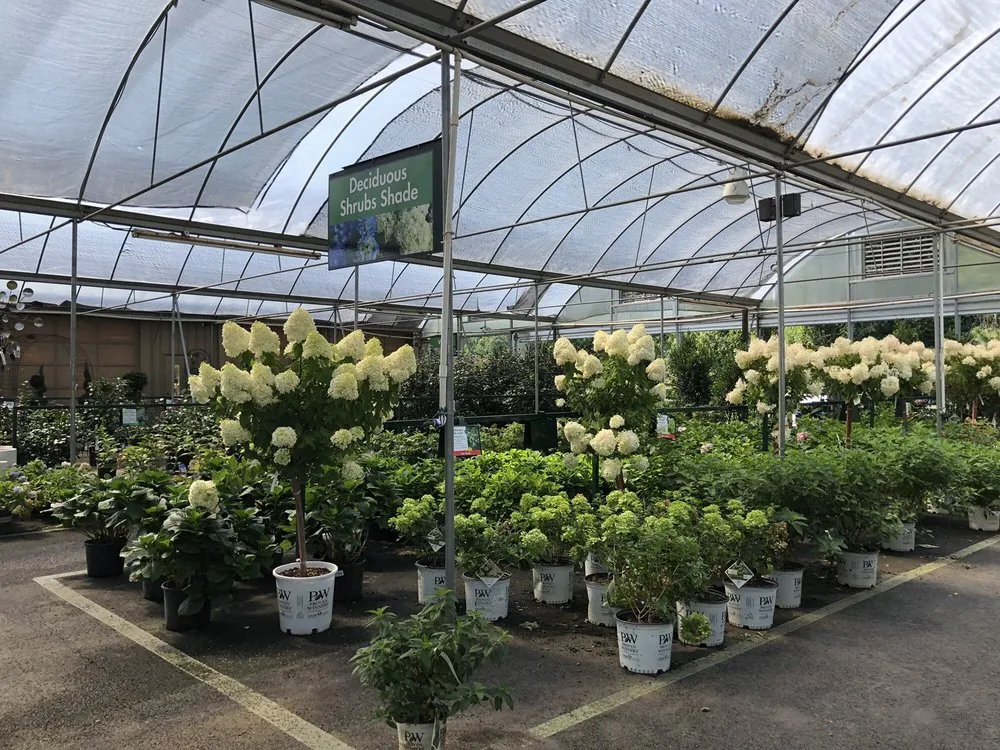 Local landscaping services experts serving Marietta, GA - Pike Nurseries