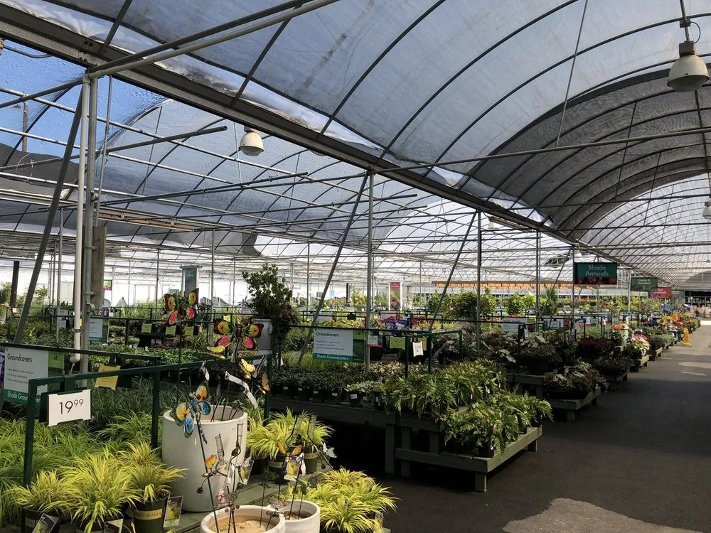 Reliable lawn mowing service for outdoor upgrades in Marietta, GA by Pike Nurseries