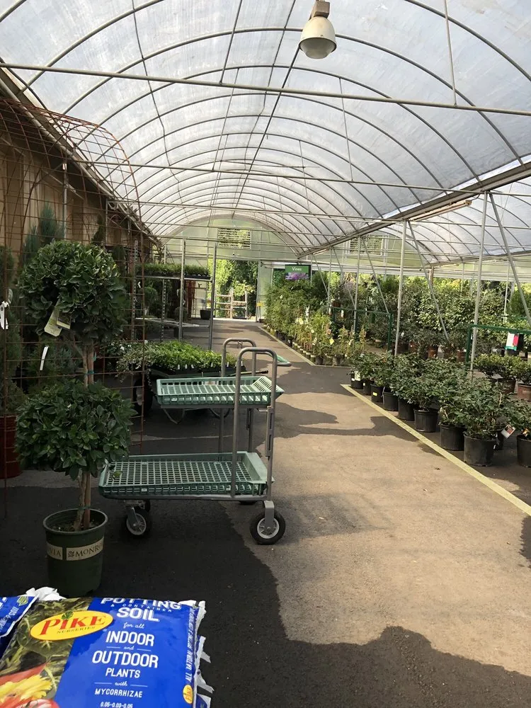 Reliable landscape design experts serving Marietta, GA - Pike Nurseries