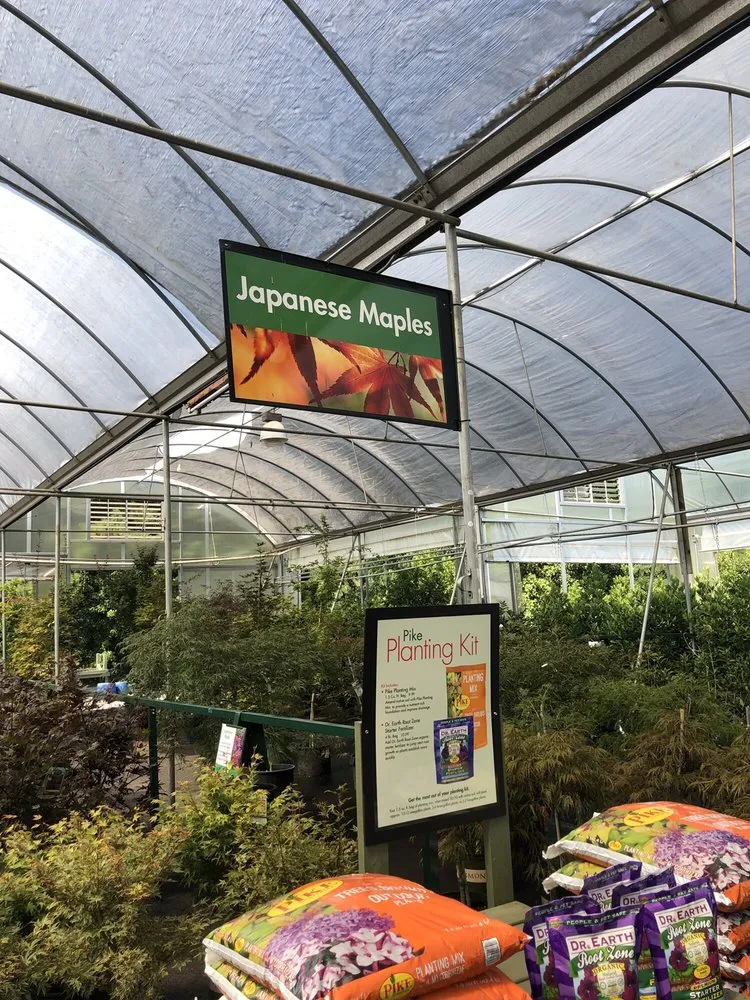 Affordable lawn mowing service in Marietta, GA by Pike Nurseries